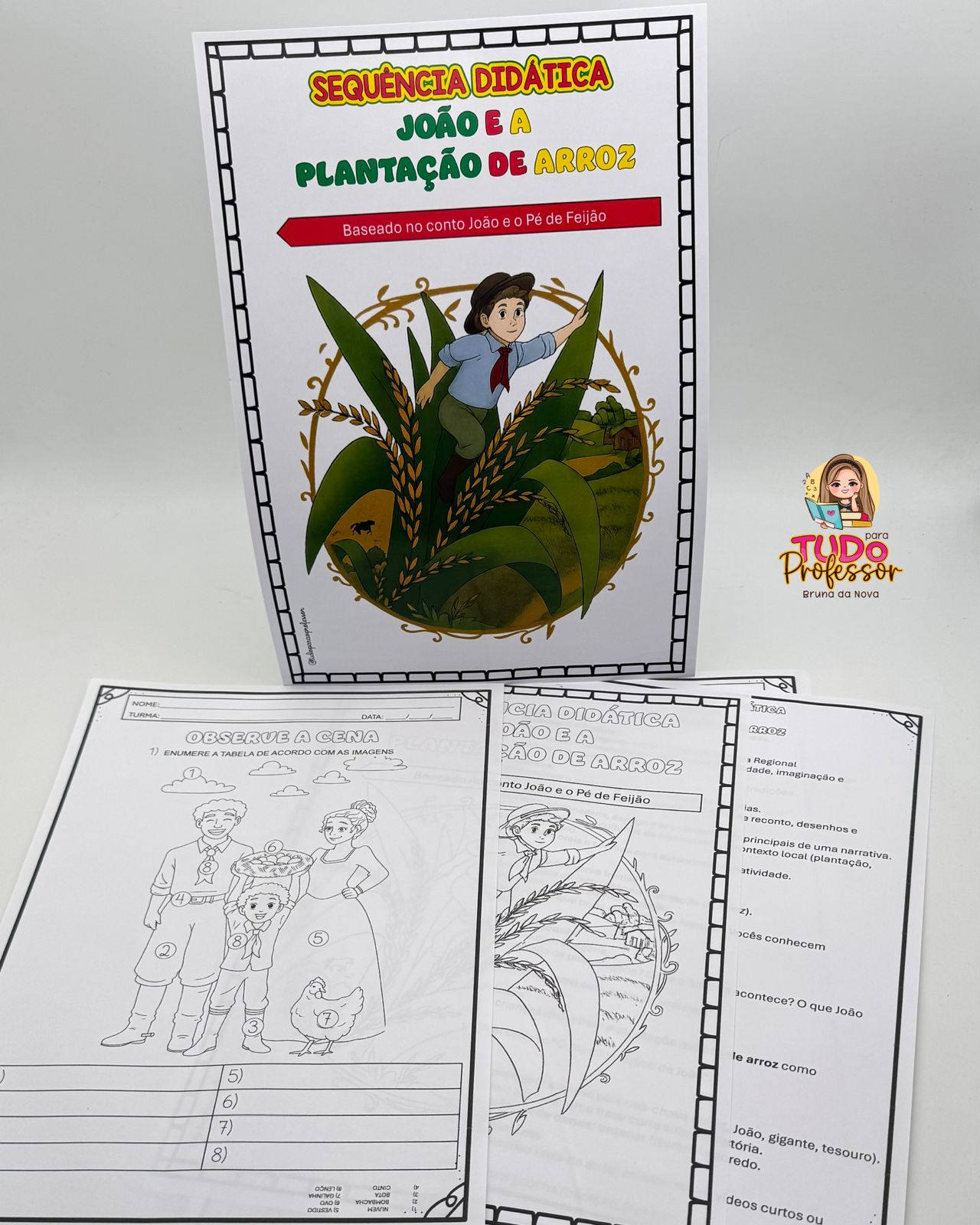 Sequência Didática João e a Plantação de Arroz