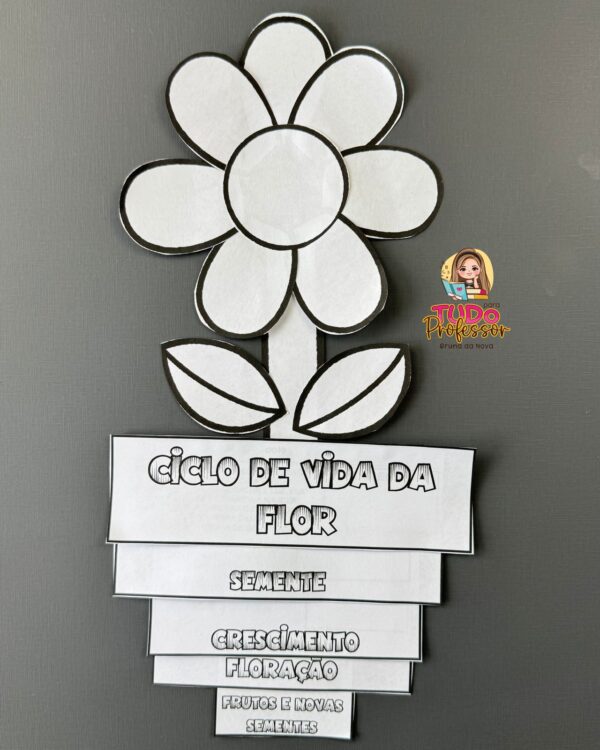 Ciclo de Vida da Flor - Imagem 3