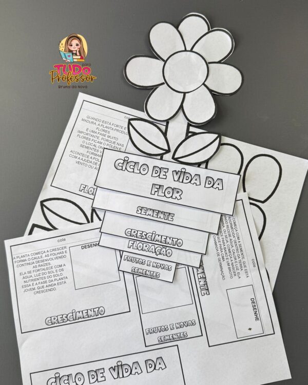 Ciclo de Vida da Flor - Imagem 2