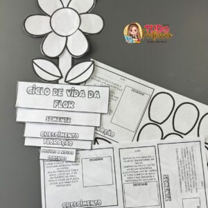 Ciclo de Vida da Flor