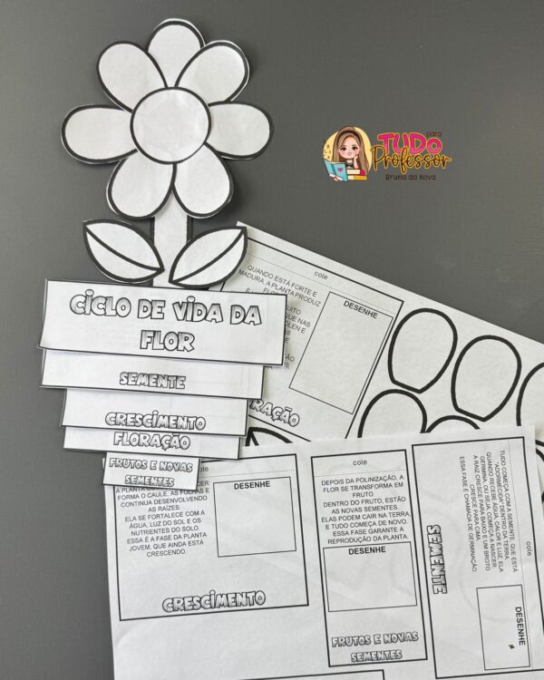 Ciclo de Vida da Flor